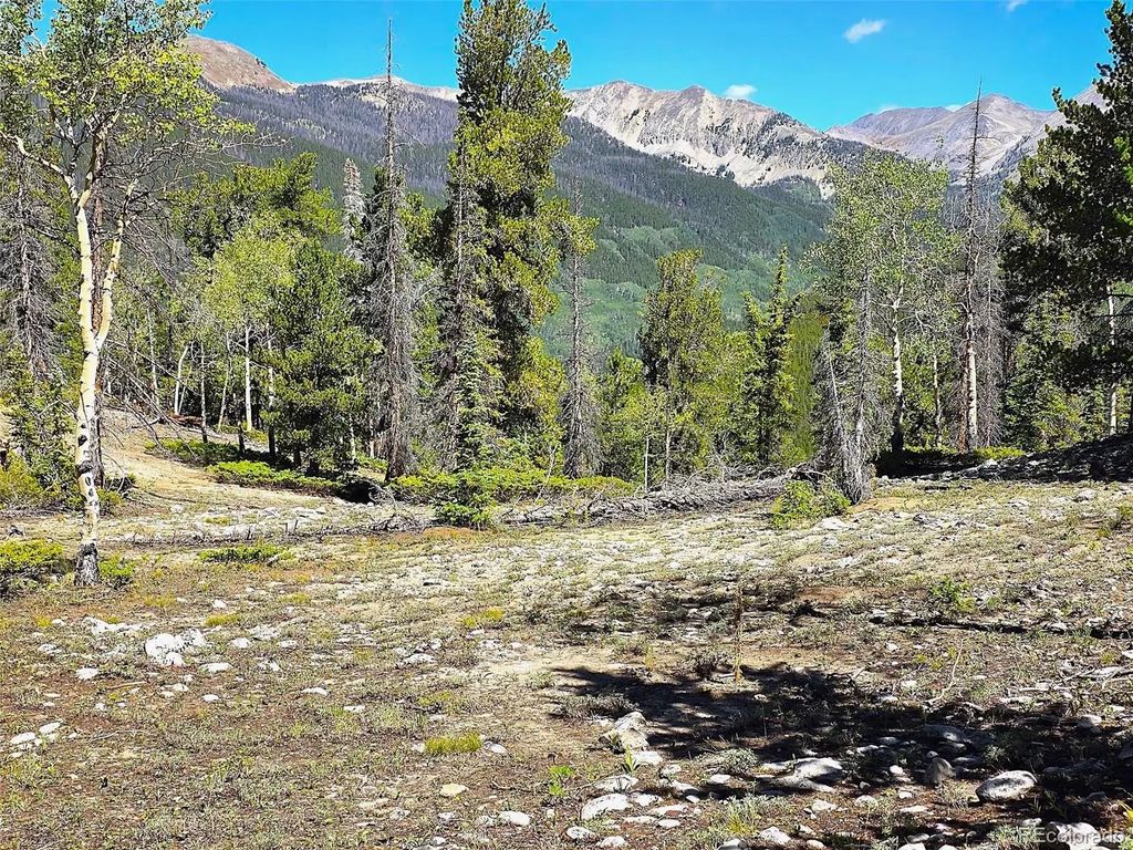 840 Forest Service Road 890, White Pine