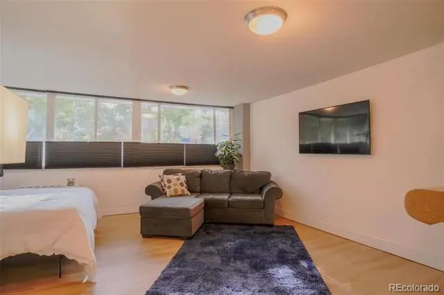 1196 N Grant Street 113, Denver