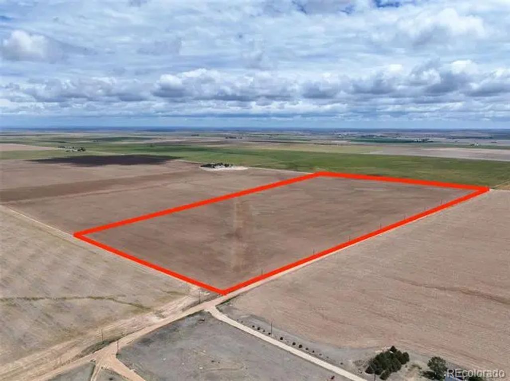 . Wcr 81 And Co Rd 8, Roggen
