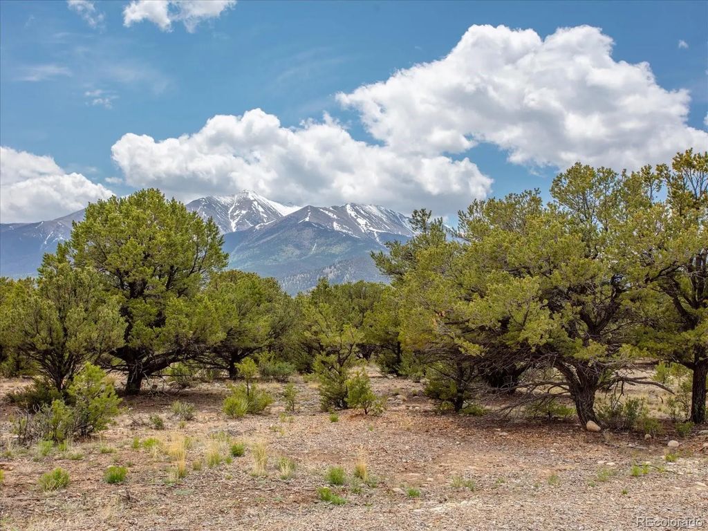 29269 Timber Ridge, Buena Vista