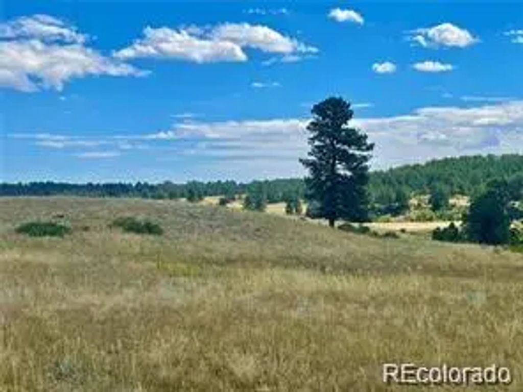 11726 Cr 102, Elbert