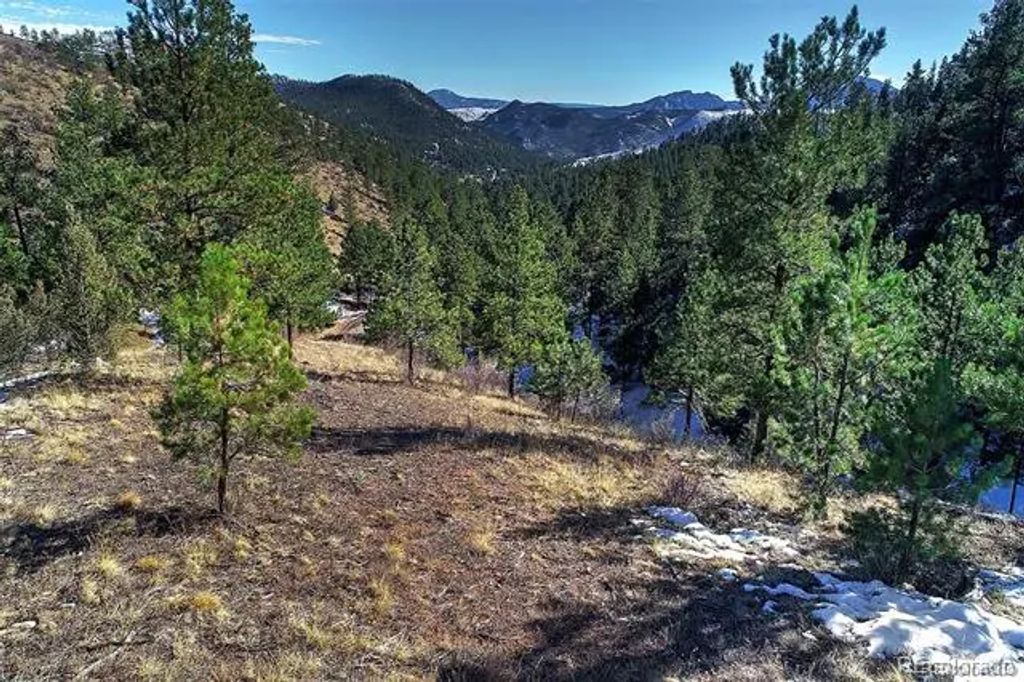 6 Turret Peak Trail, Pine