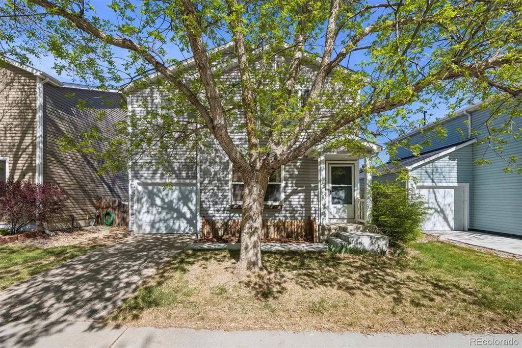 4641 S Tabor Way, Morrison