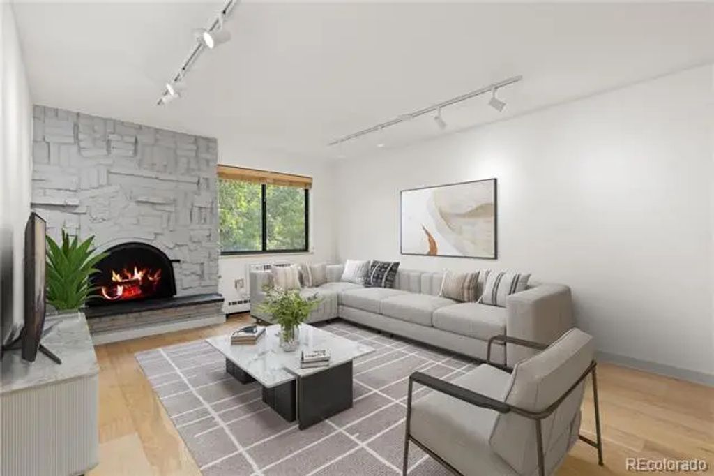 1008 N Corona Street 303, Denver