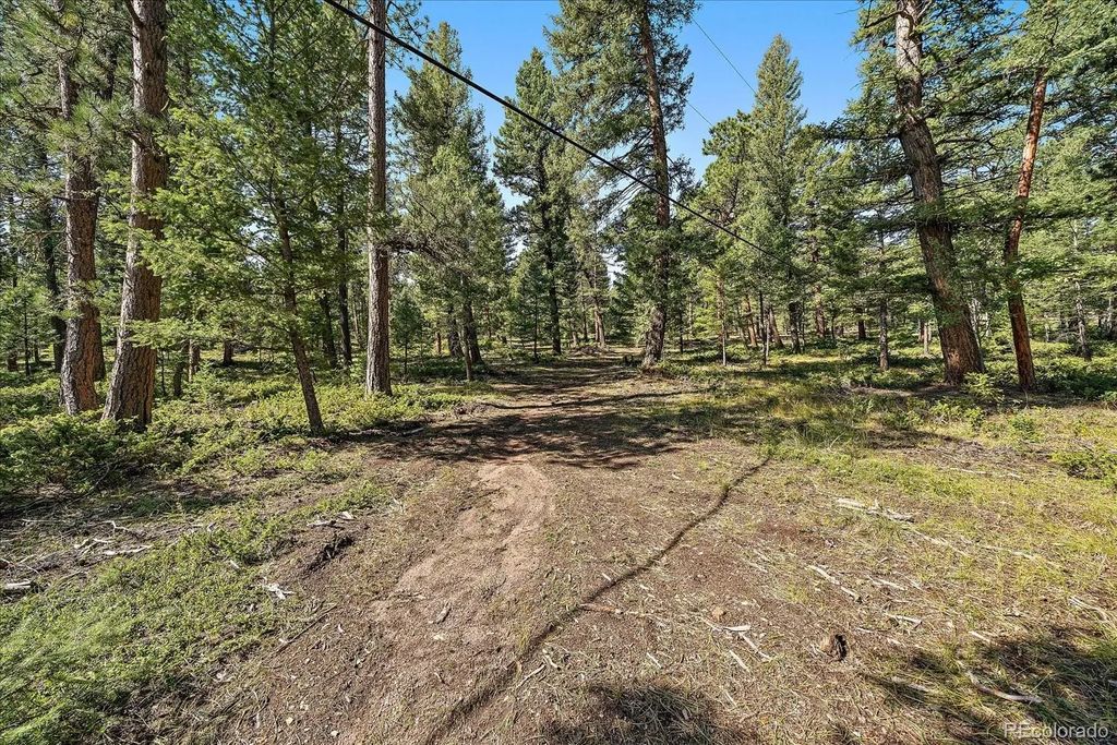 Evergreen Drive, Conifer