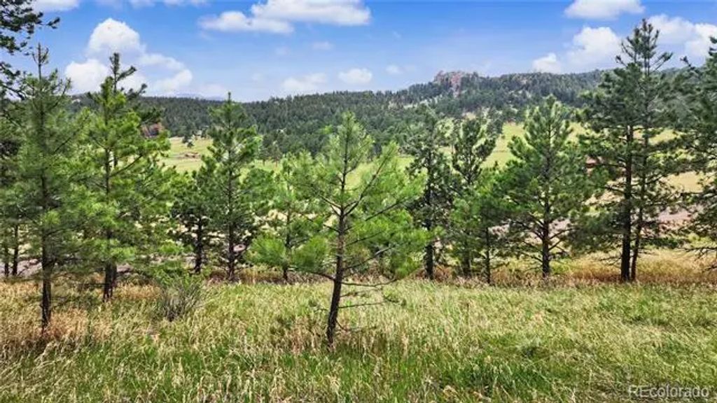 6078 Lone Peak Drive, Evergreen