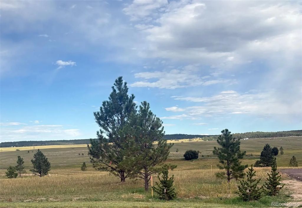 18899 Cherry Springs Ranch Drive, Monument