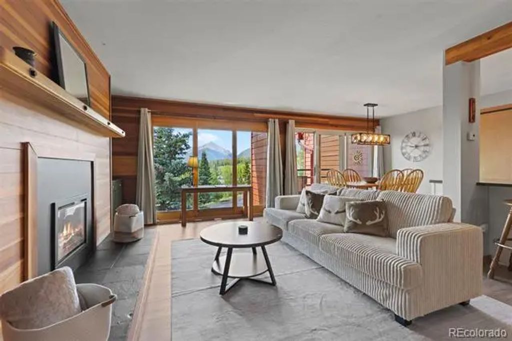 91300 Ryan Gulch Road 91314, Silverthorne
