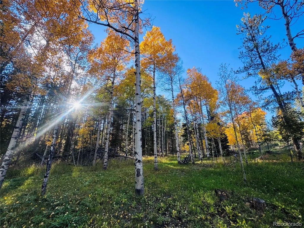 Lot 216620 Indian Springs Road, Conifer