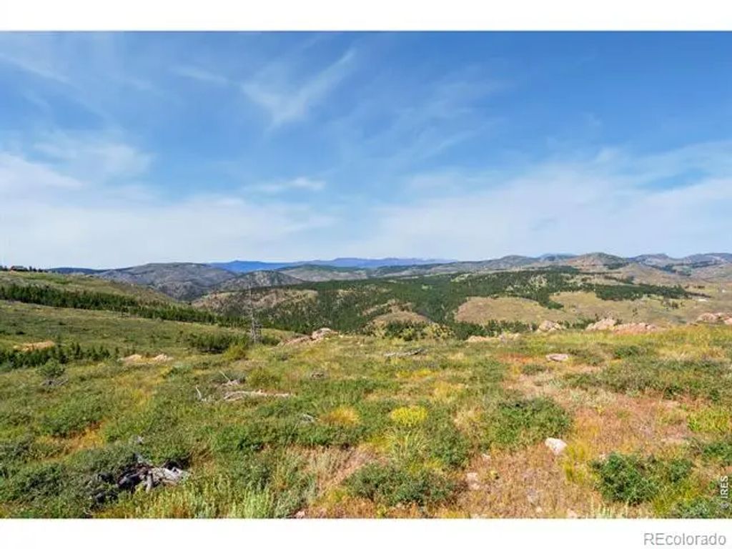 1351 Walking Wind Drive, Bellvue