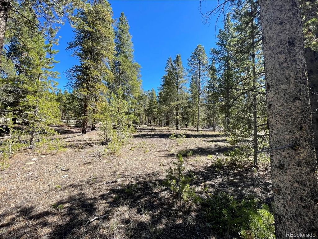 100 Virginia Avenue, Leadville