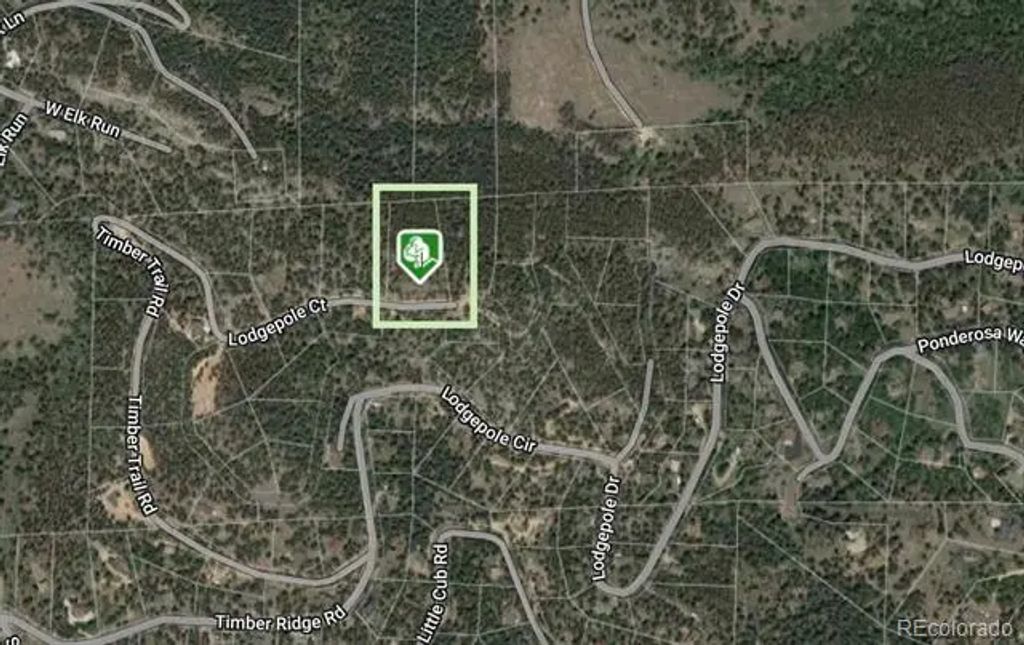 32593 Lodgepole Drive, Evergreen