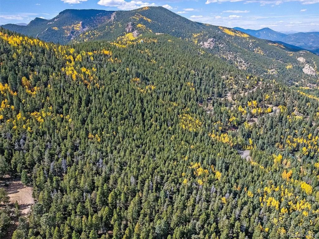 Edward Drive, Conifer