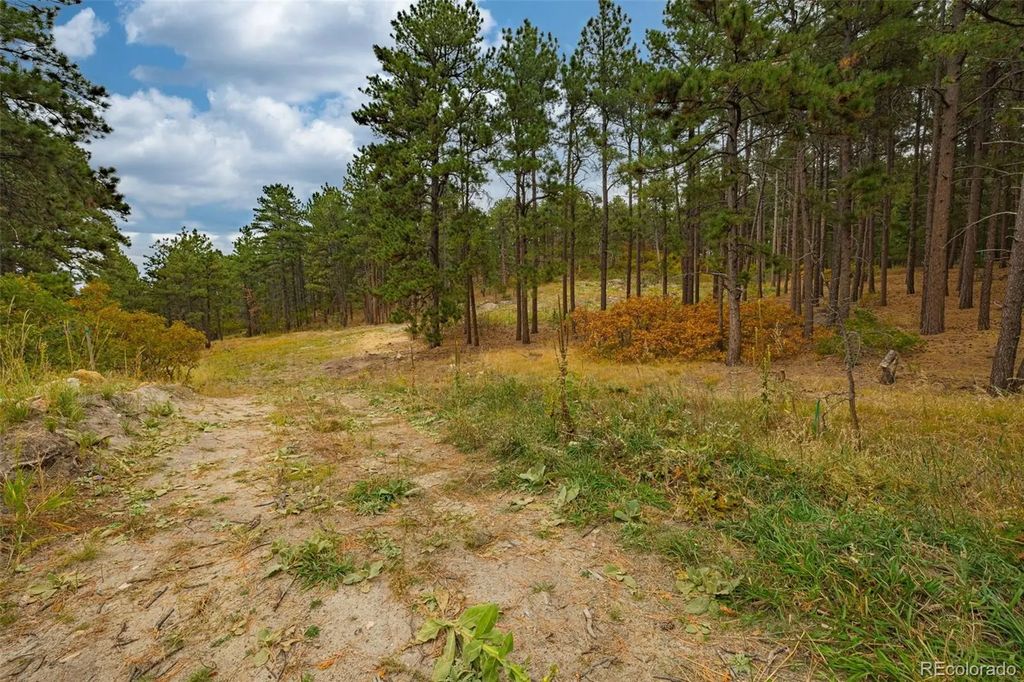 14420 S Perry Park Road, Larkspur