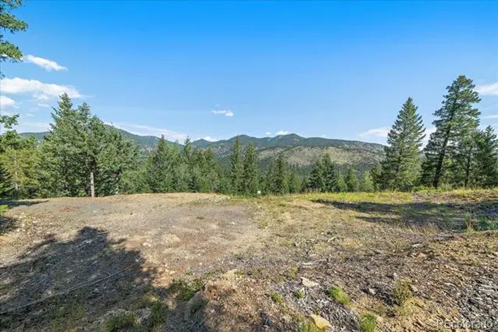 33844 Bergen View Trail, Evergreen