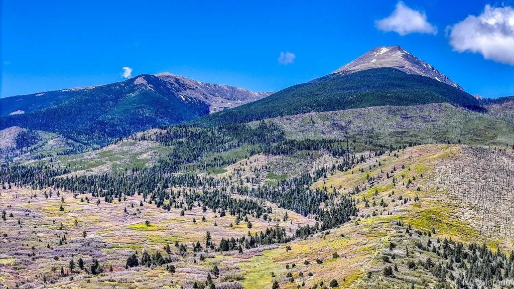 2269 Running Bear, Cotopaxi
