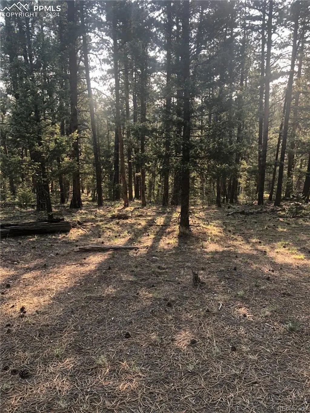 469 Echo Lake Drive, Lake George