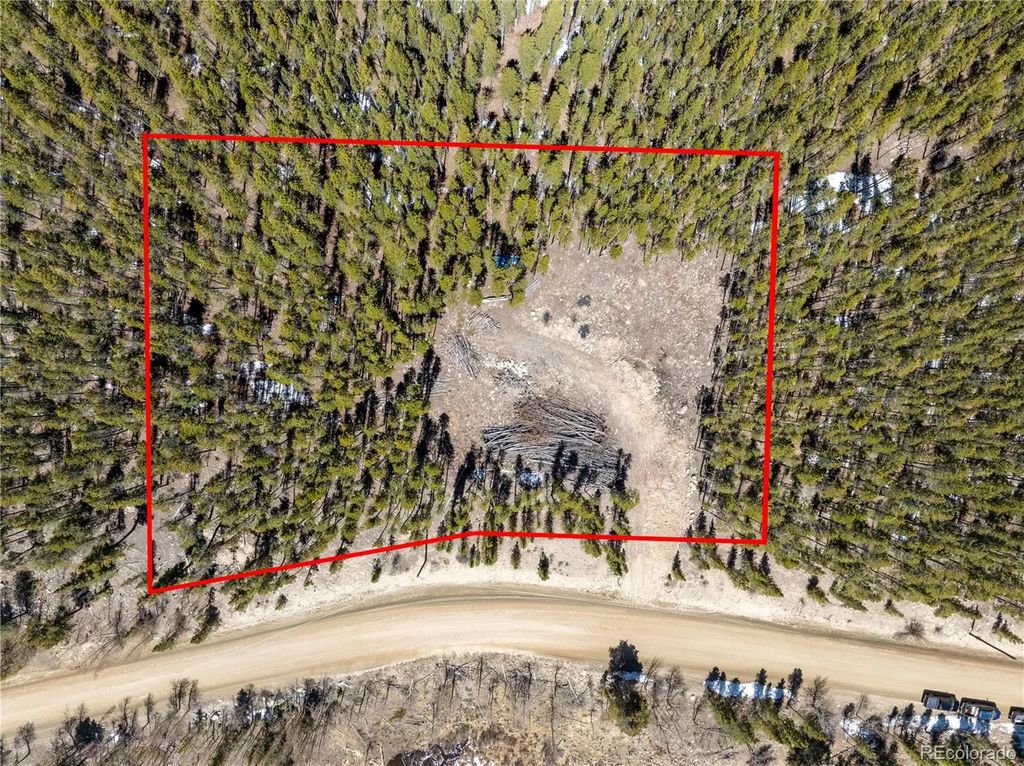 3149 Nugget Road, Fairplay