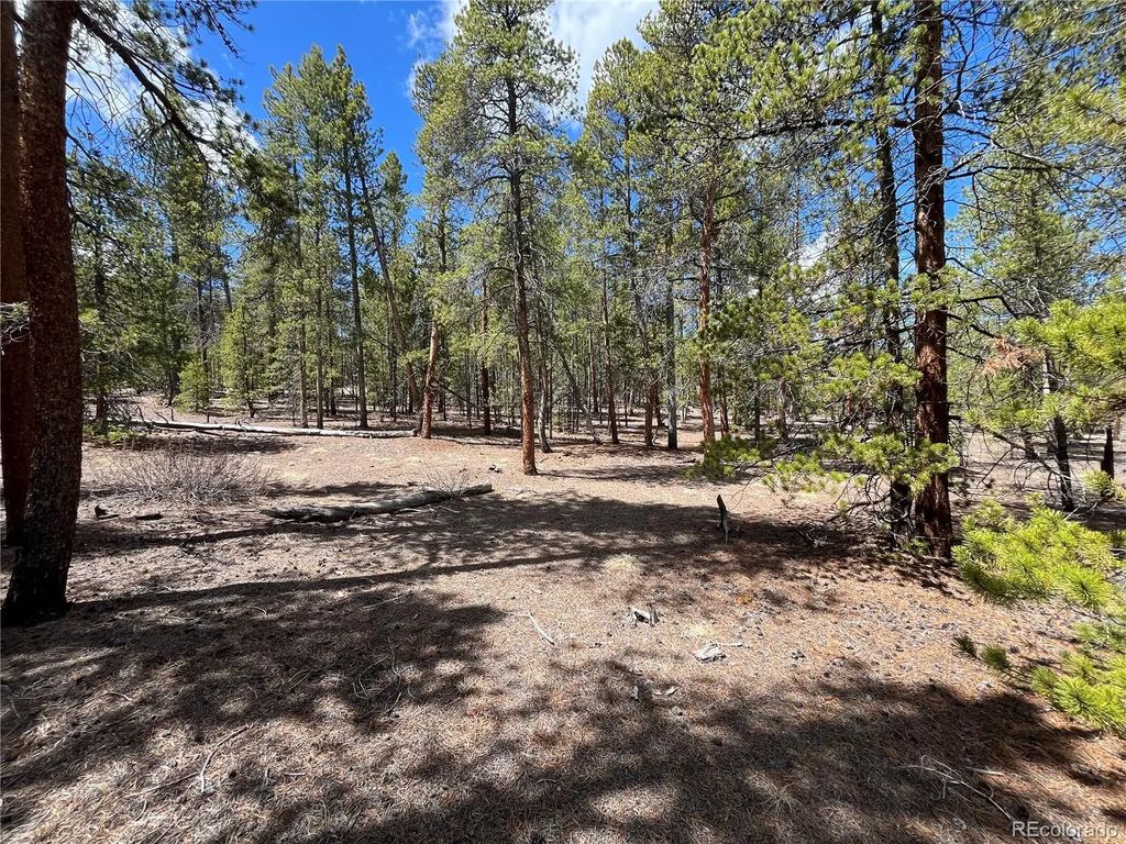 1013 Sequoia Drive, Twin Lakes