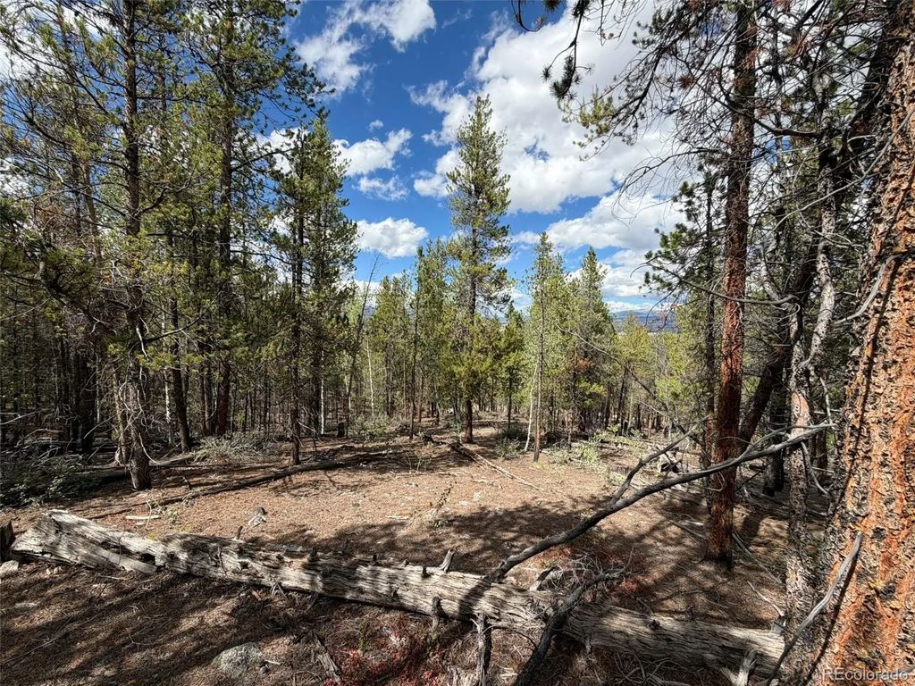 105 Parry Peak Drive, Twin Lakes
