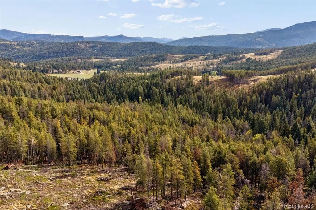 8570 S Warhawk Road, Conifer