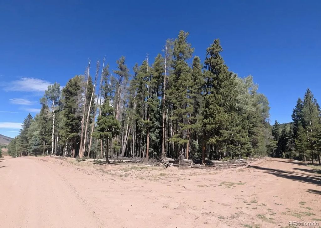 2895 Henderson Drive, Fort Garland