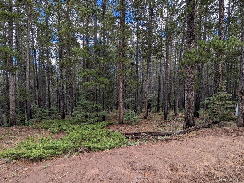 3022 Bolwell Lane, Fort Garland