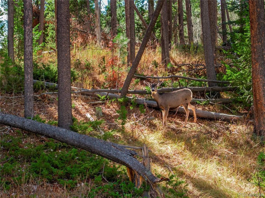 Lot 216620 Indian Springs Road, Conifer