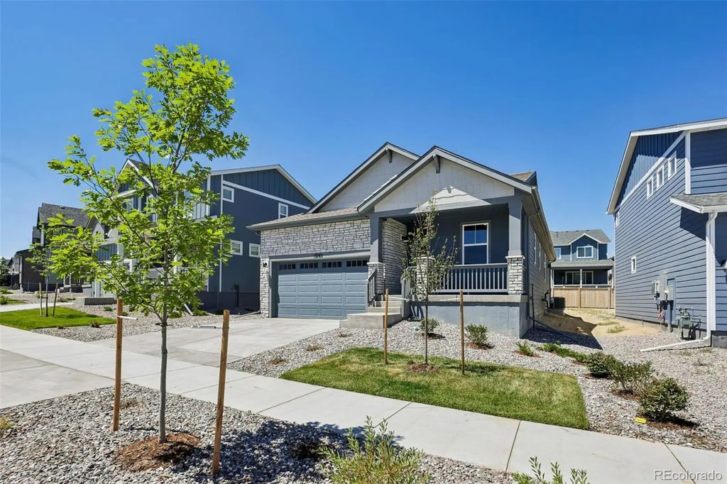13783 Daffodil Way, Parker