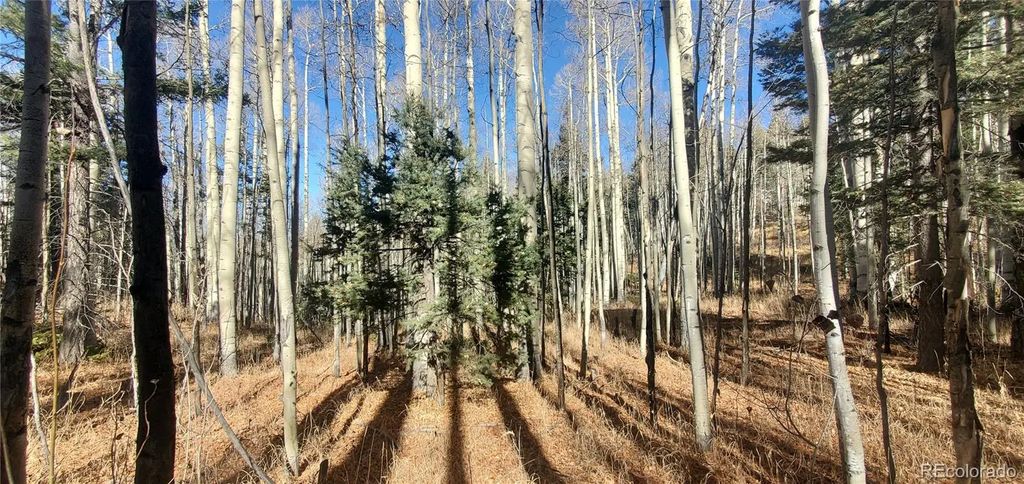 Lot 6060 Forbes Road, San Luis