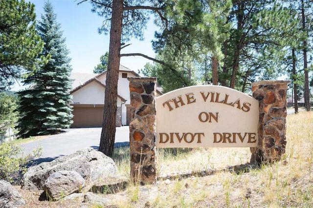 31251 Divot Drive, Evergreen