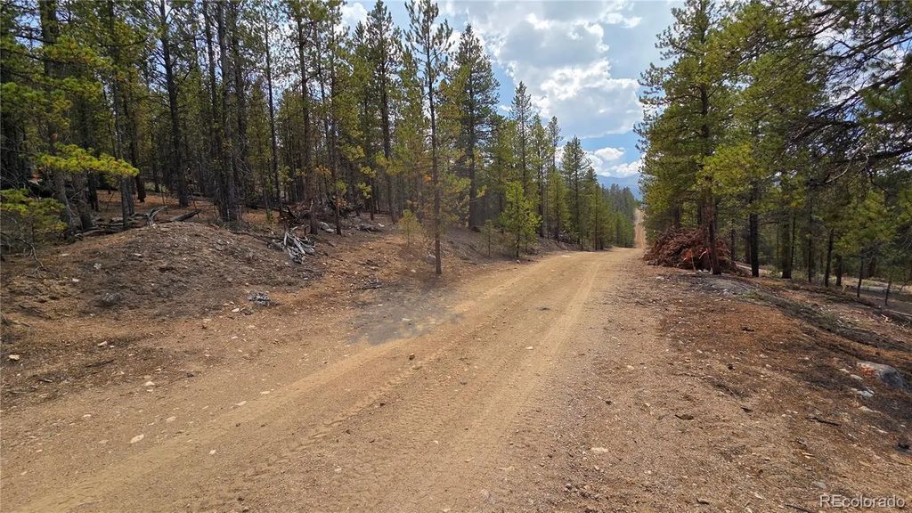 67 Lodgepole Drive, Leadville