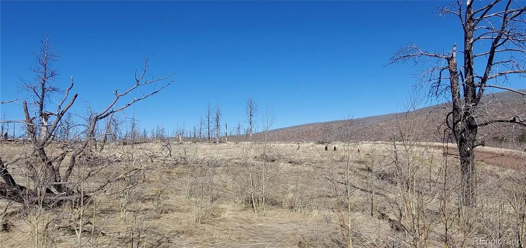 Lot 1566 Cary Lane, Fort Garland
