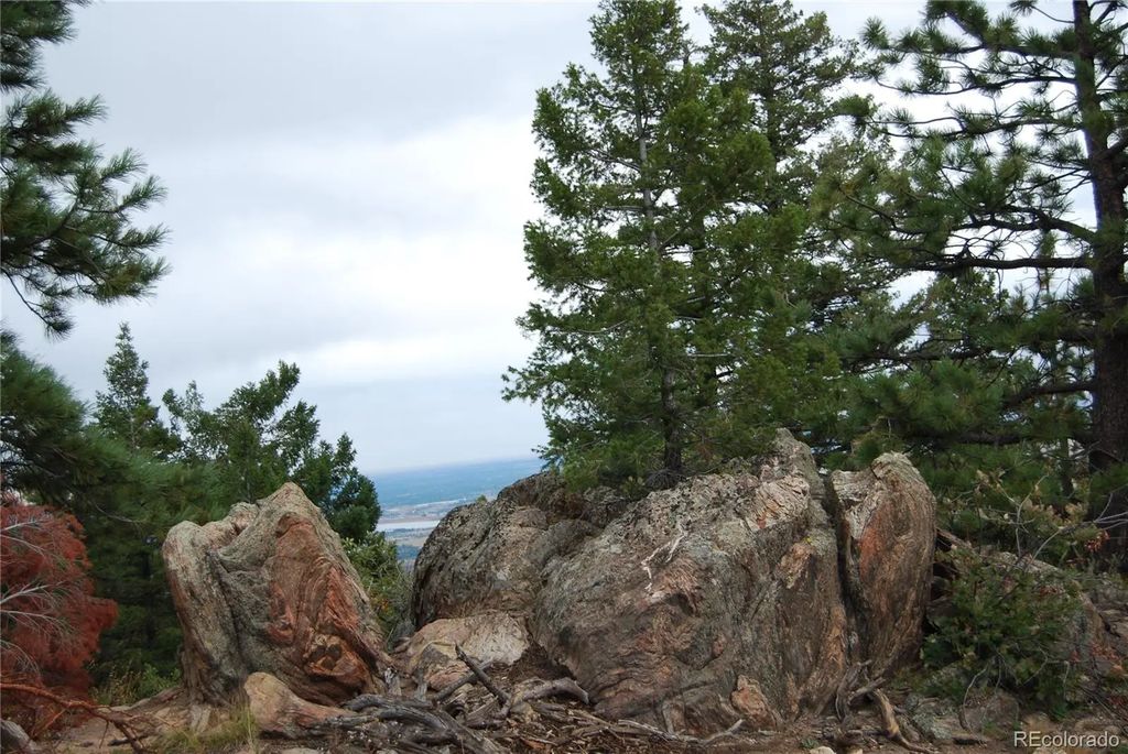 13927 Dancing Bear Trail, Littleton