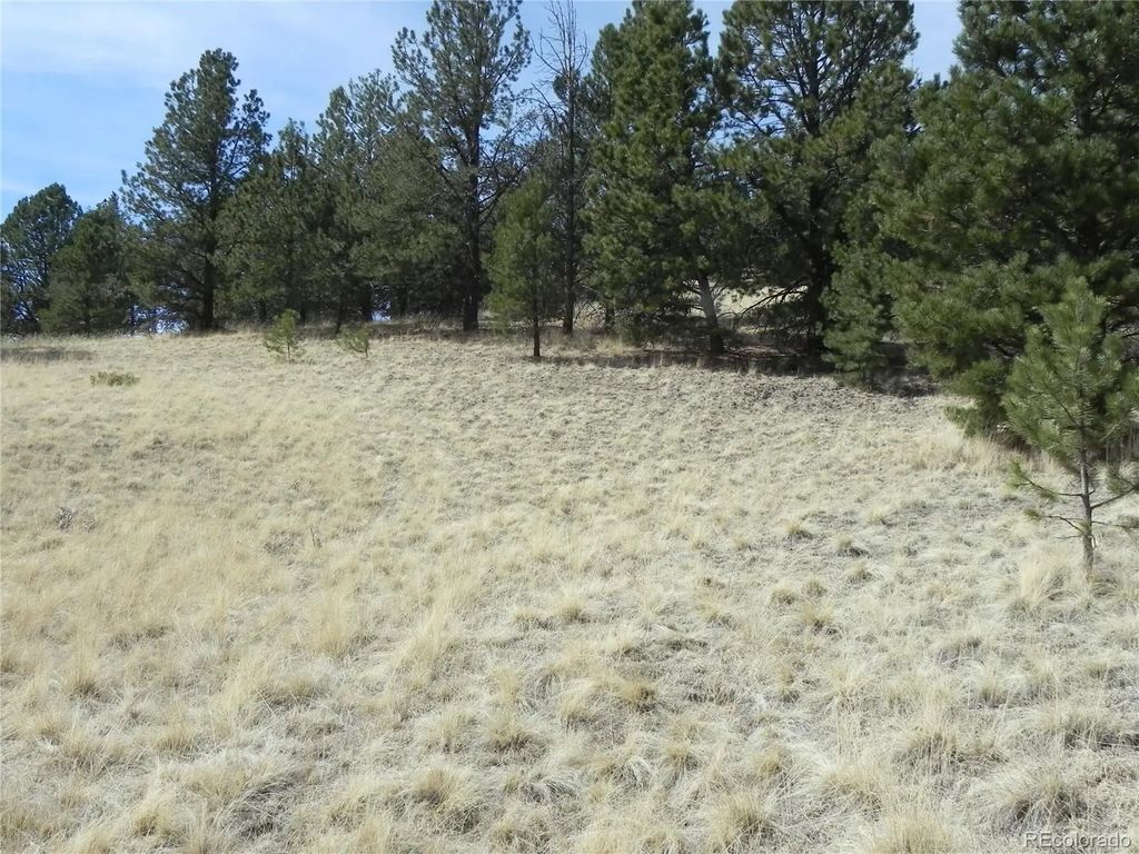 1058 Monarch Drive, Cripple Creek