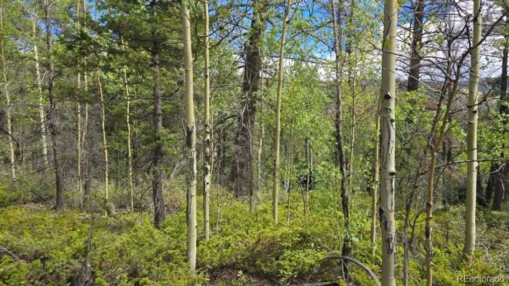 Lot 6269 Shioshita Road, San Luis