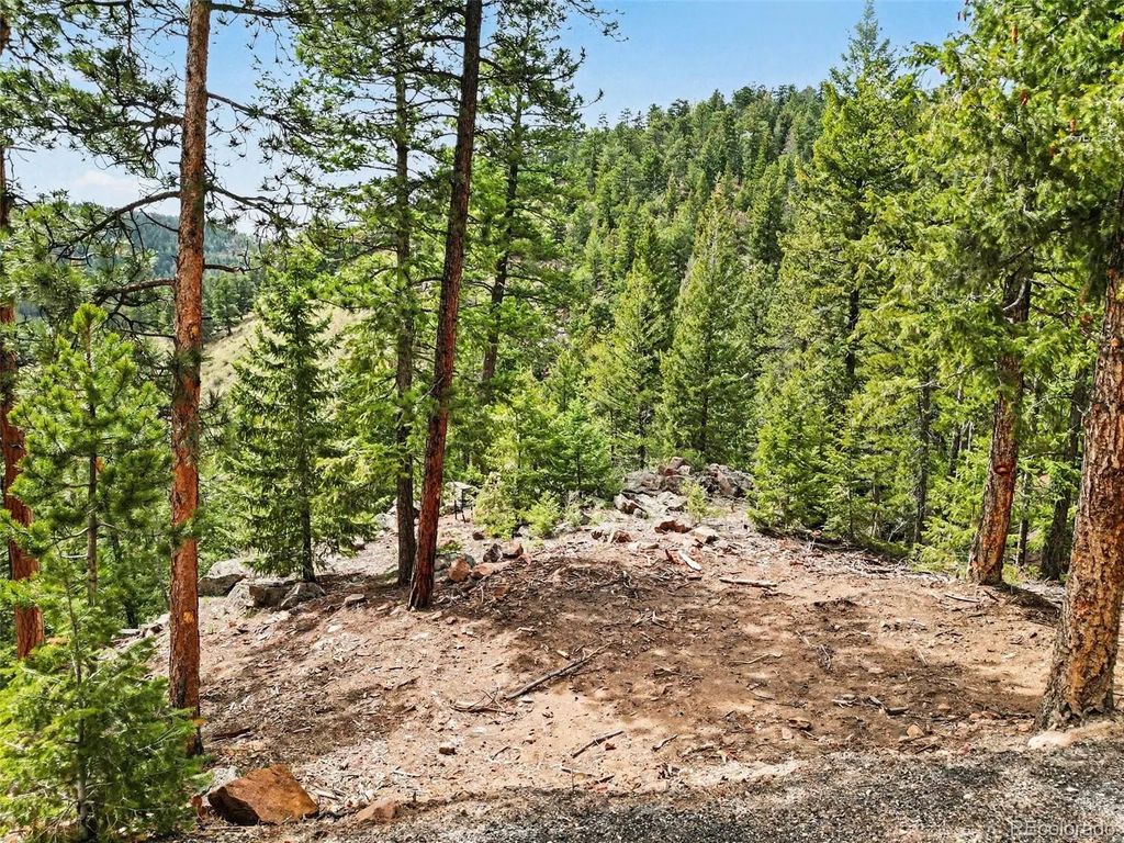 7141 Timber Trail Road, Evergreen