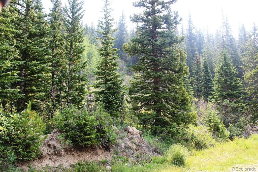 01 Miners Road, Idaho Springs