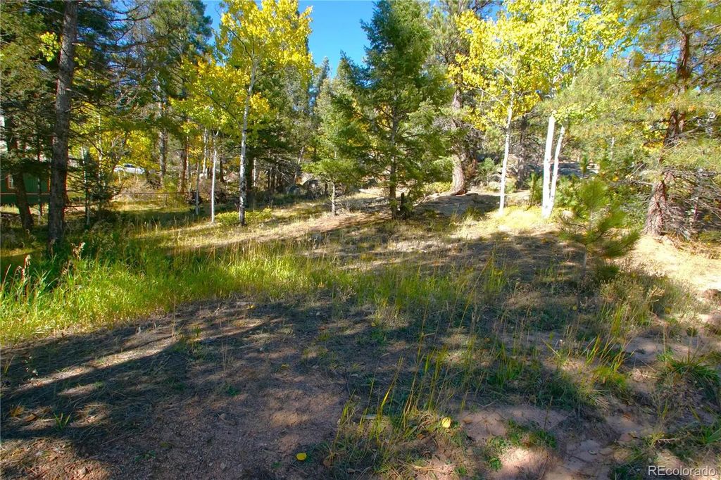 30589 Hood Road, Conifer