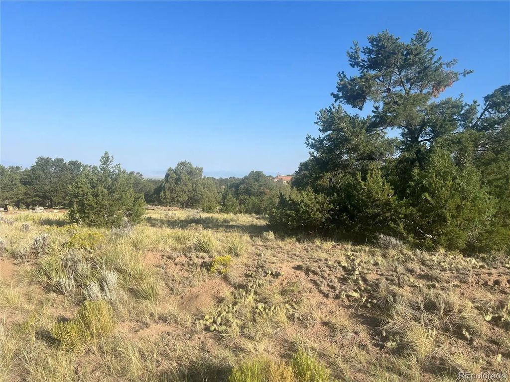 4292 Fallen Tree Overlook, Crestone