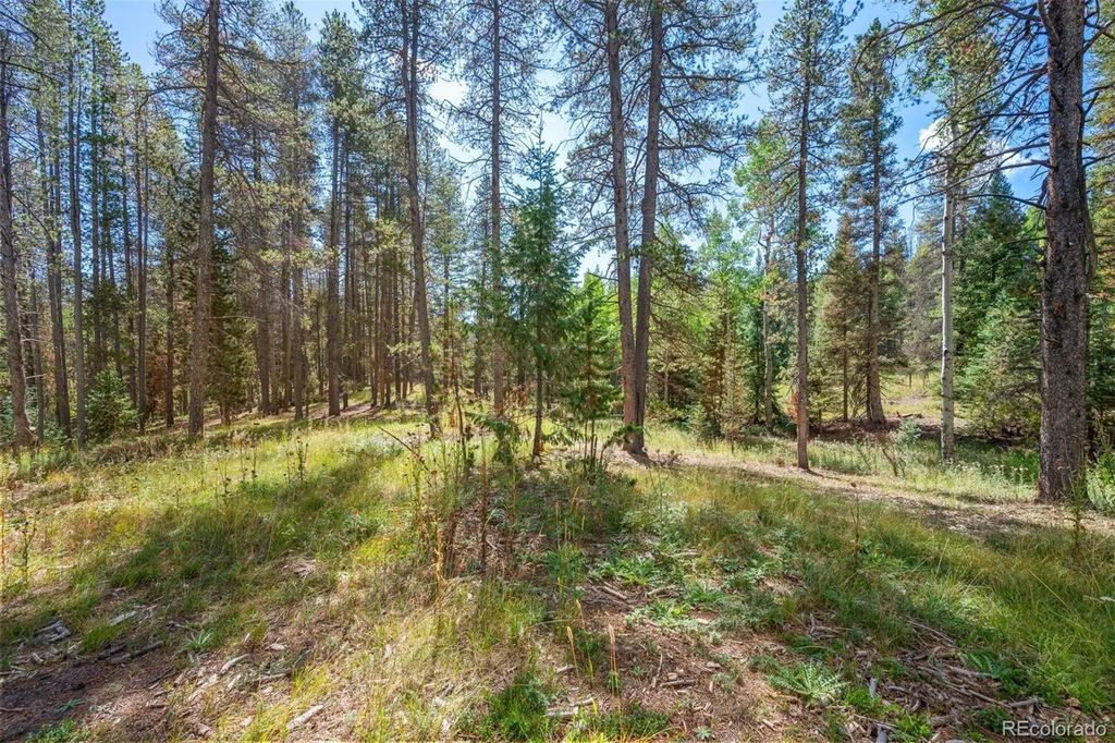 001 Lot 12 Indian Springs Rd, Conifer