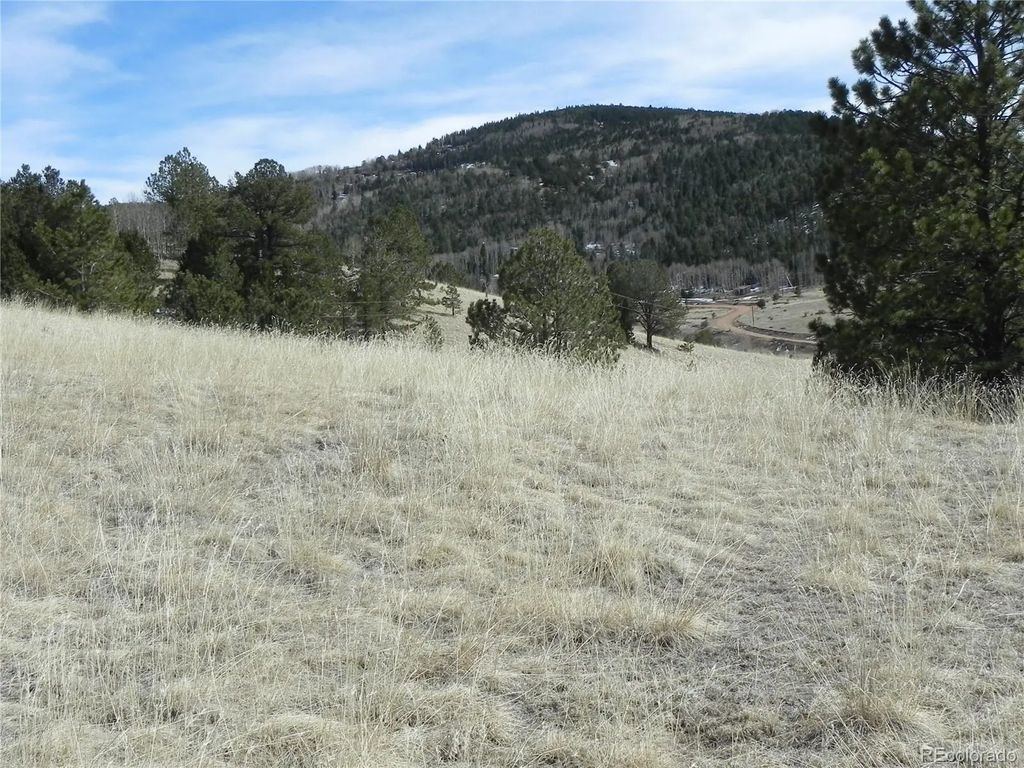 1087 Monarch Drive, Cripple Creek