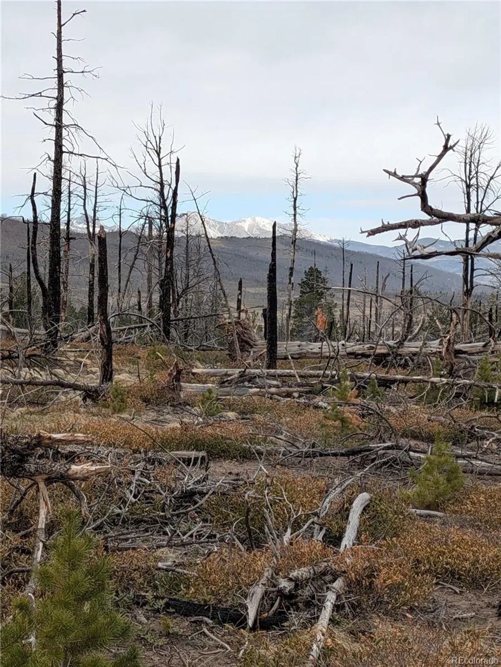 Lot 2301 Wohlstetter Loop, Fort Garland