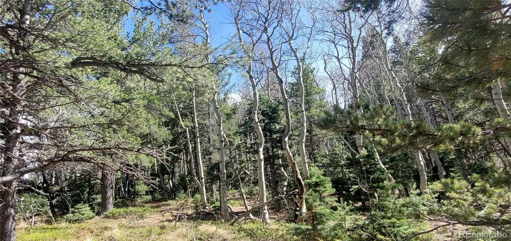 Lot 2560 Grojean Drive, Fort Garland