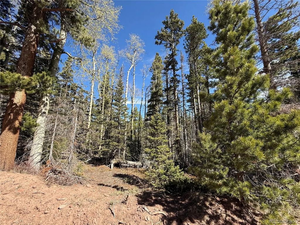 Lot 3408 Drexler Place, Fort Garland