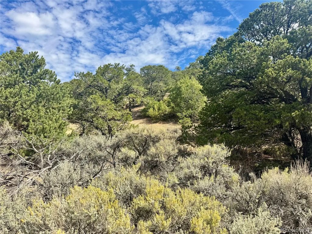 Lot 1374 Carter Road, Fort Garland