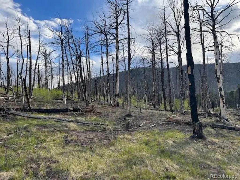 Lot 2248 Buonaventura Lane, Fort Garland