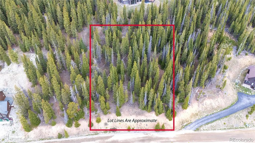 301 Kimmes Lane, Breckenridge