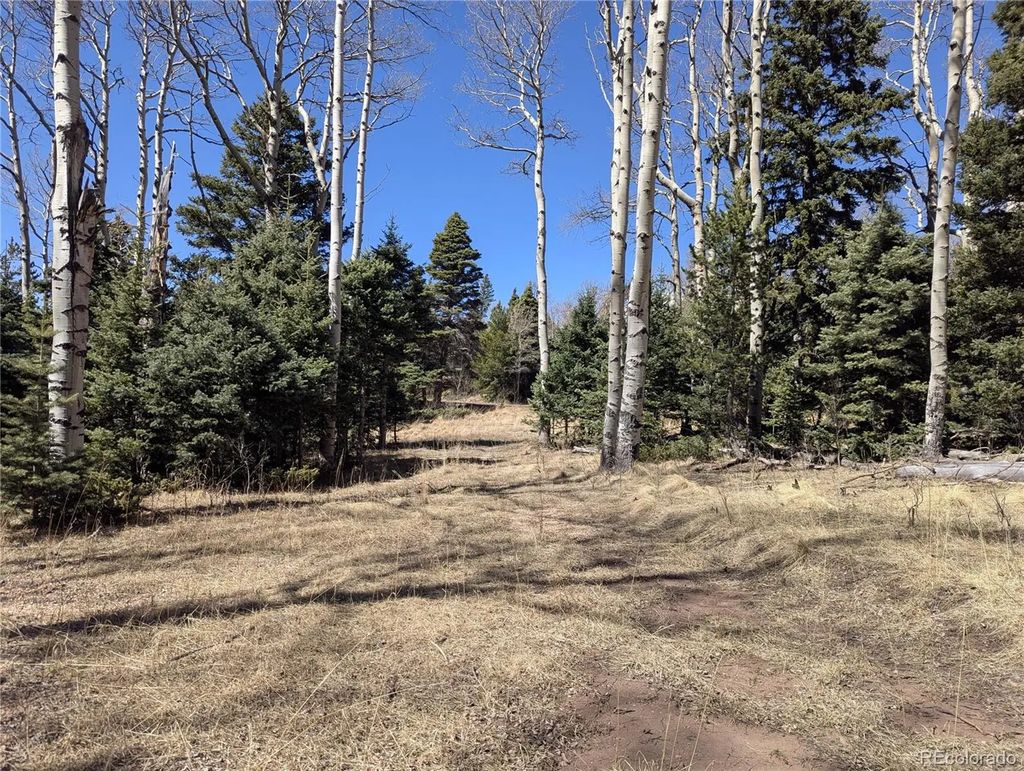2664 Grojean Drive, Fort Garland