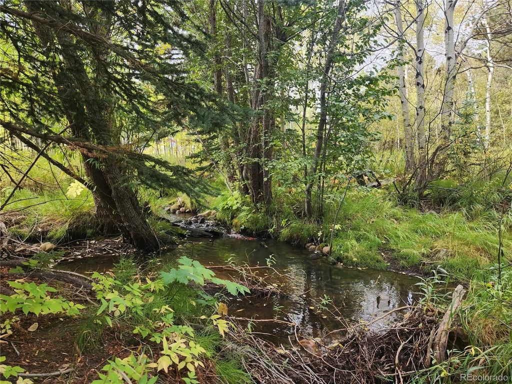 531 Caribou Road, Nederland